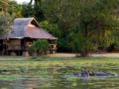 MFUWE-lodge-zambia-6